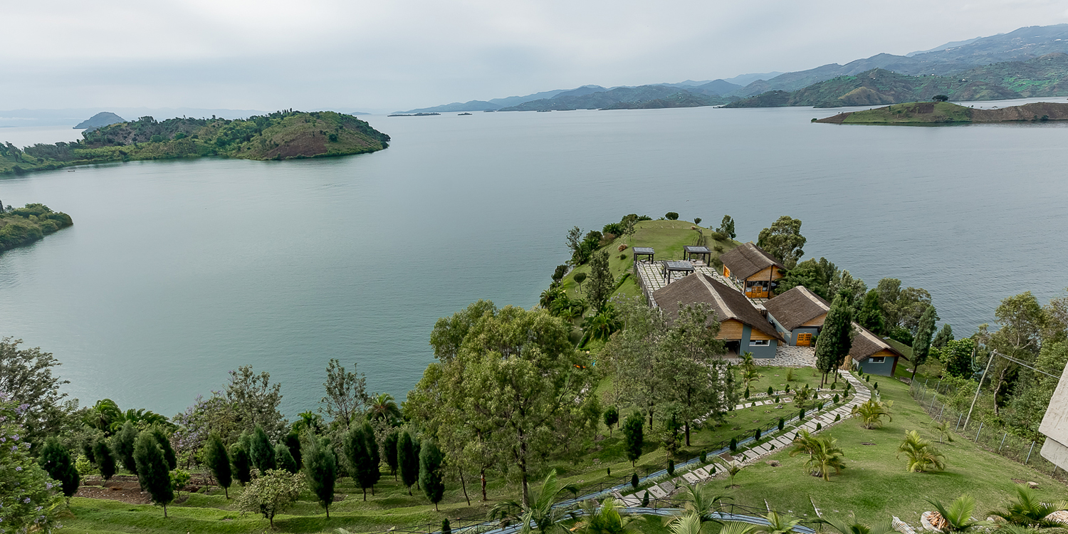 Rwanda Gorilla Trekking vs Habituation : Best Tour & Travel in Rwanda