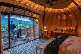 Rwanda Gorilla Safari Planning: Permits, Gear & Timing Guide