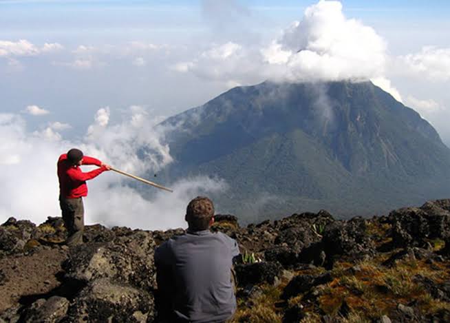 Volcanoes Rwanda National Park