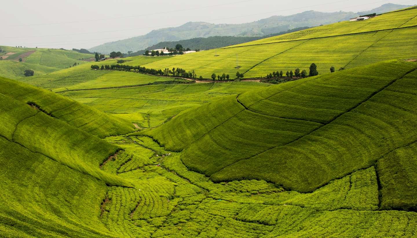 Tour Rwanda Nyanza Royal Palace, Rwanda Nyanza Royal Palace Tour