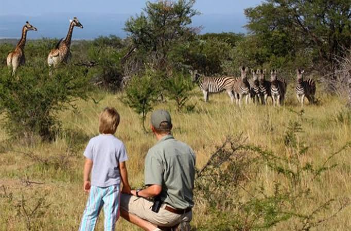 Akagera family safari: