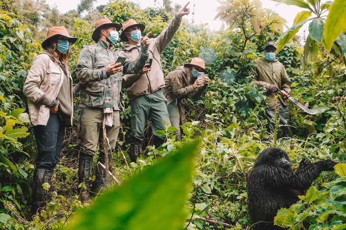 Rwanda primate conservation safari