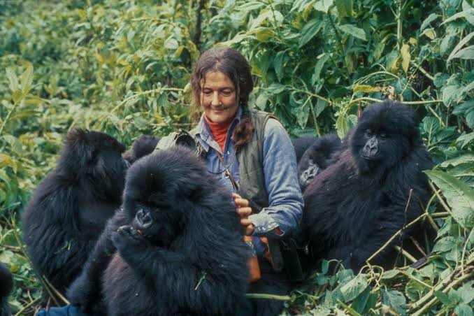 Dian Fossey Grave Hike Rwanda
