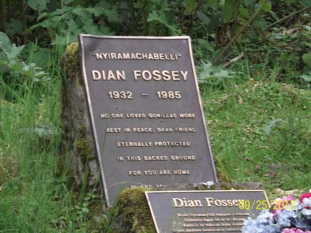 Karisoke Research Center tour: Historic Dian Fossey tomb trek