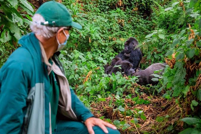 Things to do in Rwanda