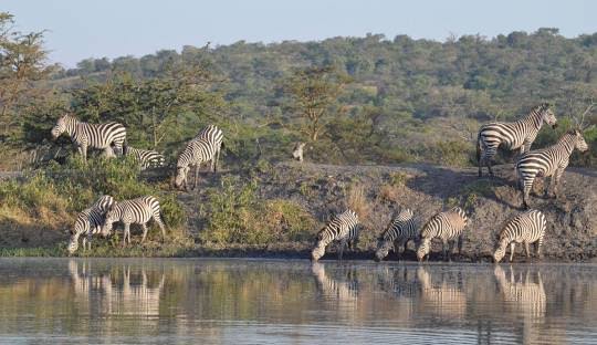 Lake Mburo safari from Kigali