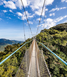 Nyungwe National Park Rwanda