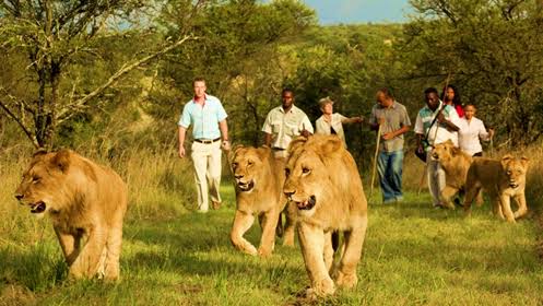 Rwanda Big Five safari