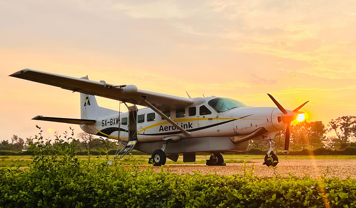 5 Days Flying Safari to Bwindi and Queen Elizabeth National Park