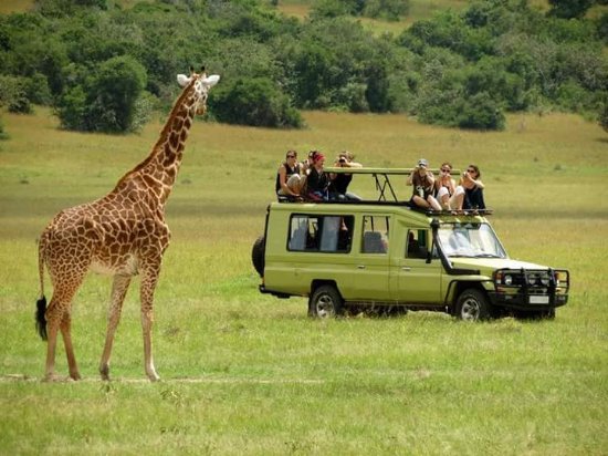Uganda luxury safari